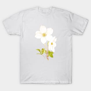 white hellebore flowers ink and watercolor T-Shirt